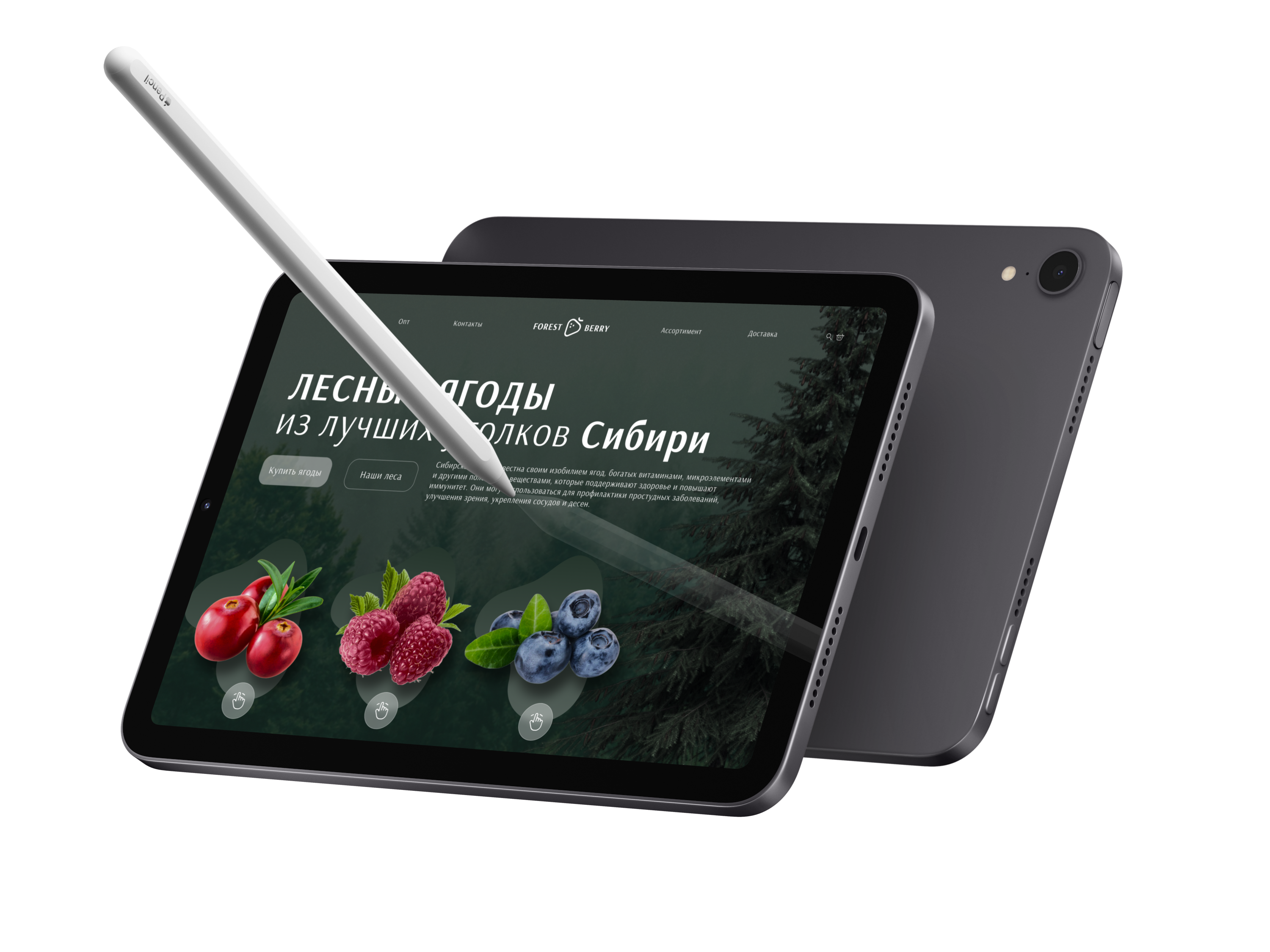 iPad Mini - планшетная версия