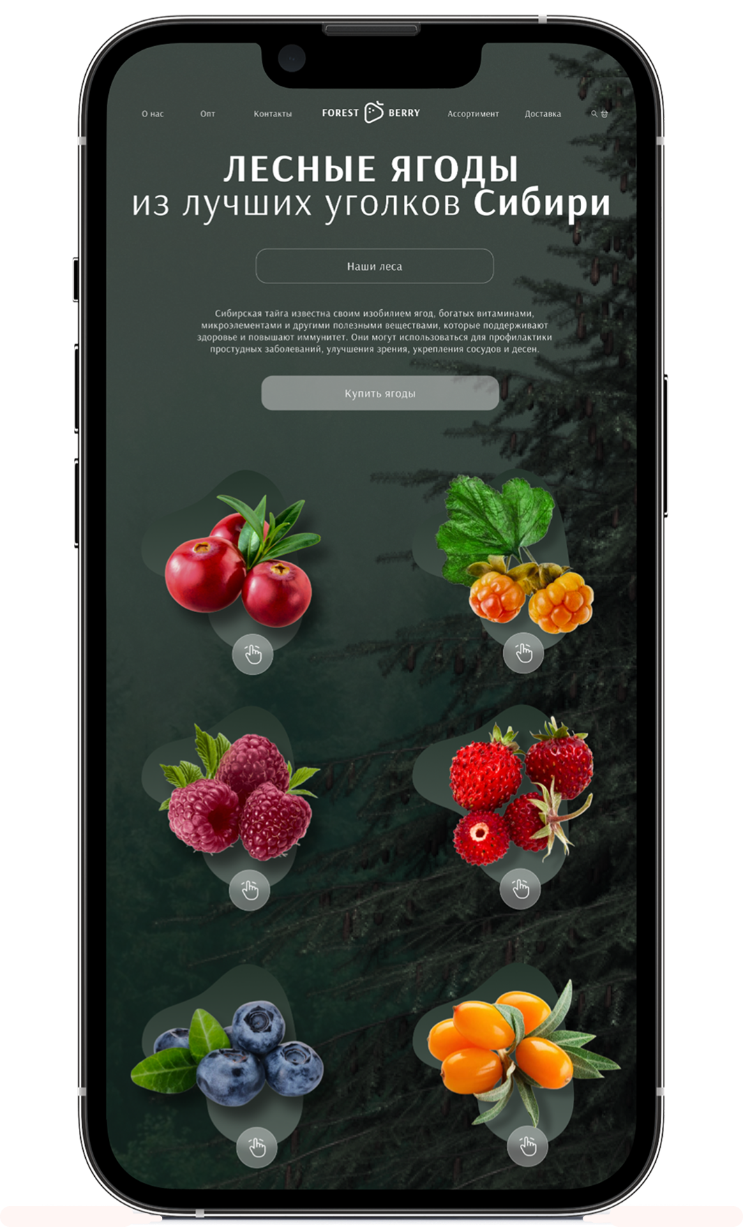 iPhone 13 Pro - мобильная версия